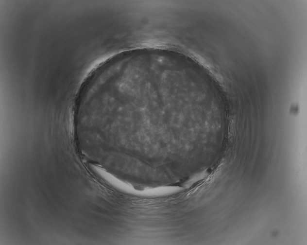 X0000116801214201001081327