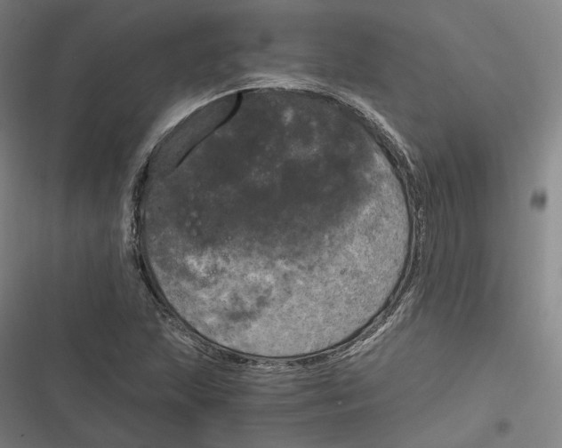 X0000116801215201001081327