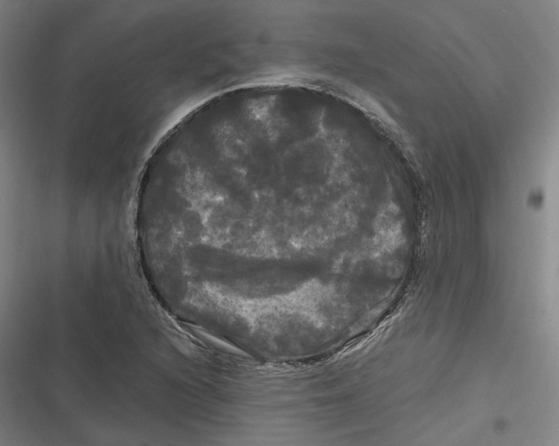 X0000116801216201001081327