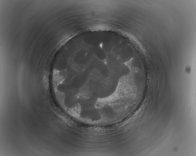 X0000116801217201001081327