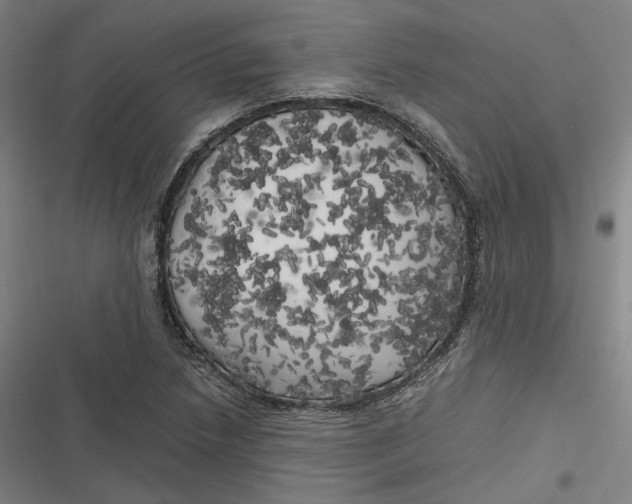 X0000116801218201001081327