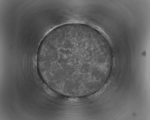 X0000116801220201001081327