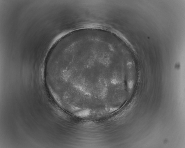 X0000116801222201001081327