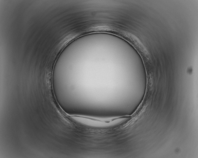 X0000116801225201001081327