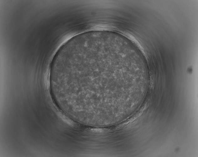 X0000116801227201001081327