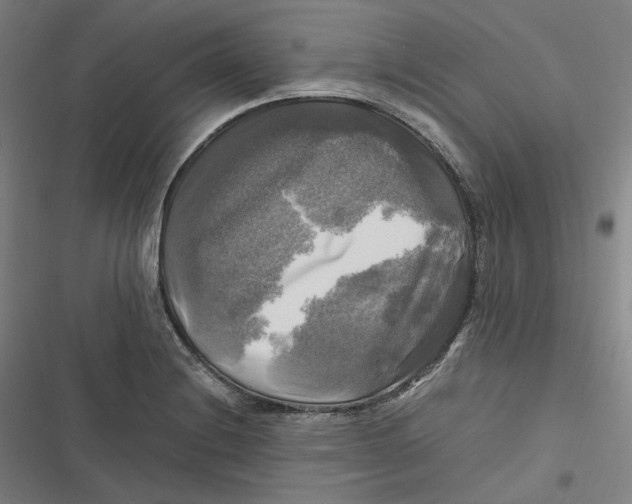 X0000116801228201001081327