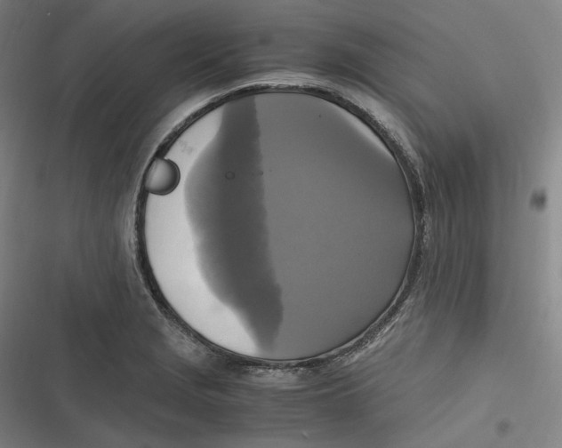 X0000116801229201001081327