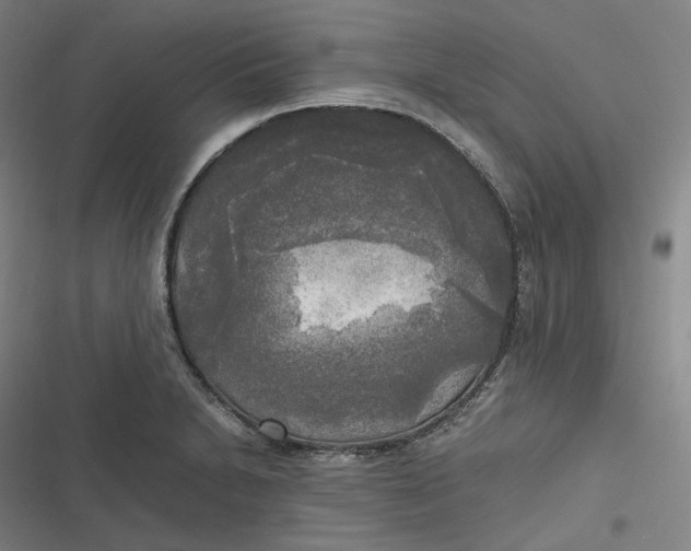 X0000116801230201001081327