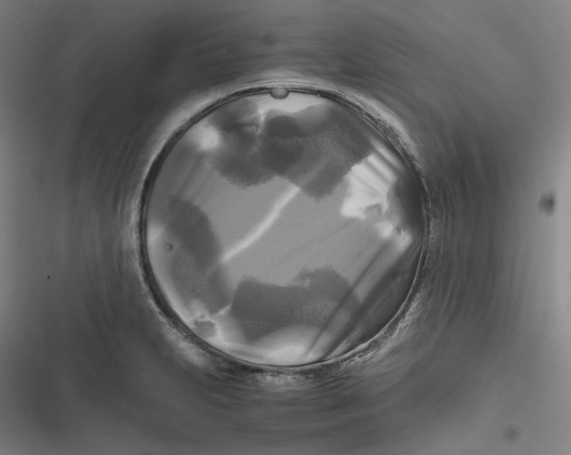 X0000116801231201001081327