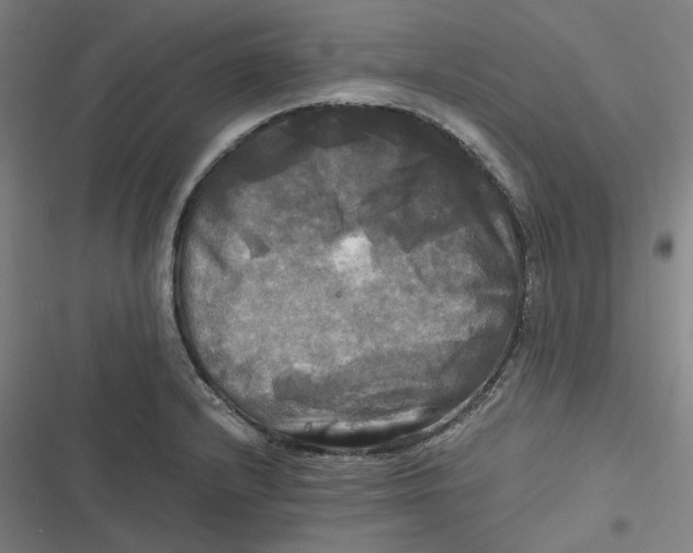 X0000116801232201001081327