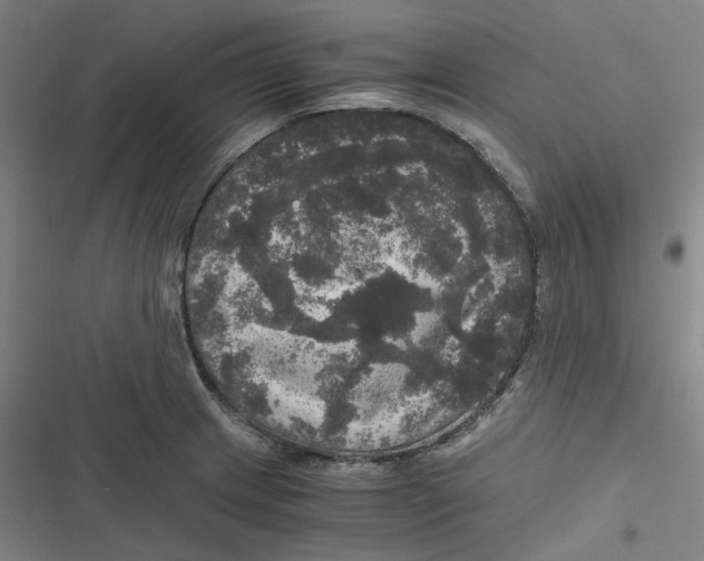 X0000116801233201001081327