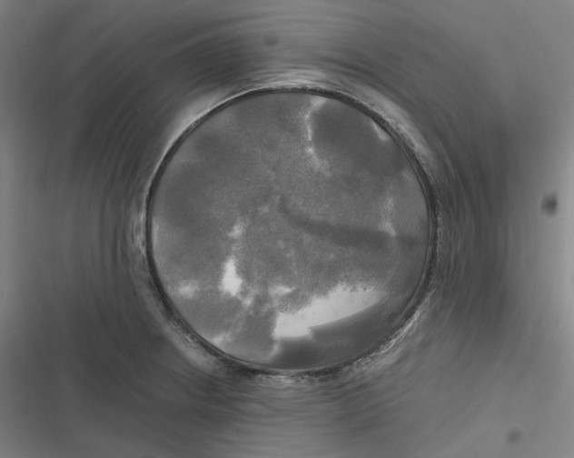 X0000116801234201001081328