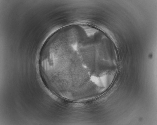 X0000116801235201001081328