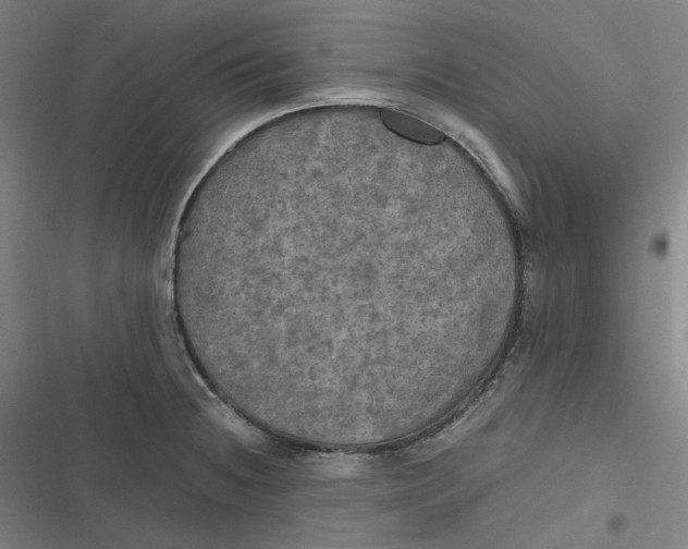 X0000116801236201001081328