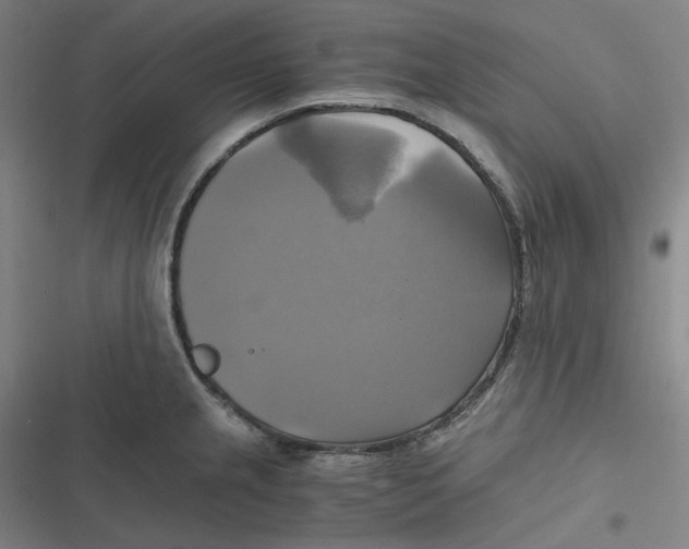 X0000116801237201001081328