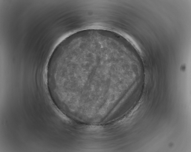 X0000116801238201001081328