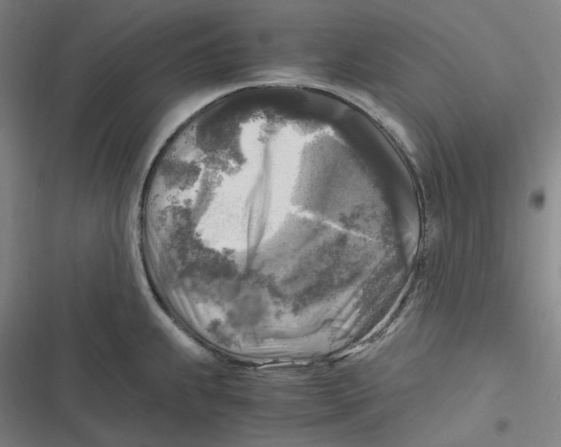 X0000116801239201001081328