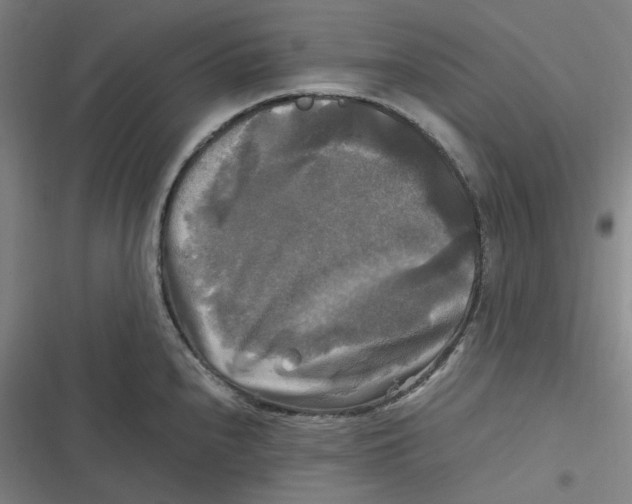 X0000116801240201001081328