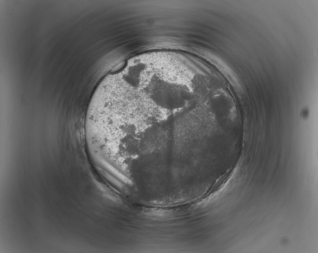 X0000116801241201001081328