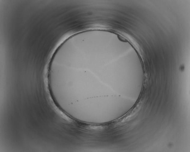 X0000116801243201001081328