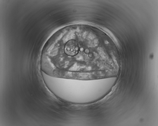 X0000116801244201001081328