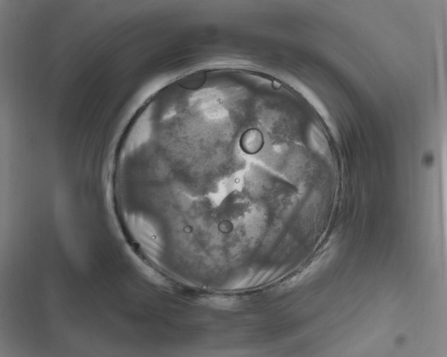 X0000116801245201001081328