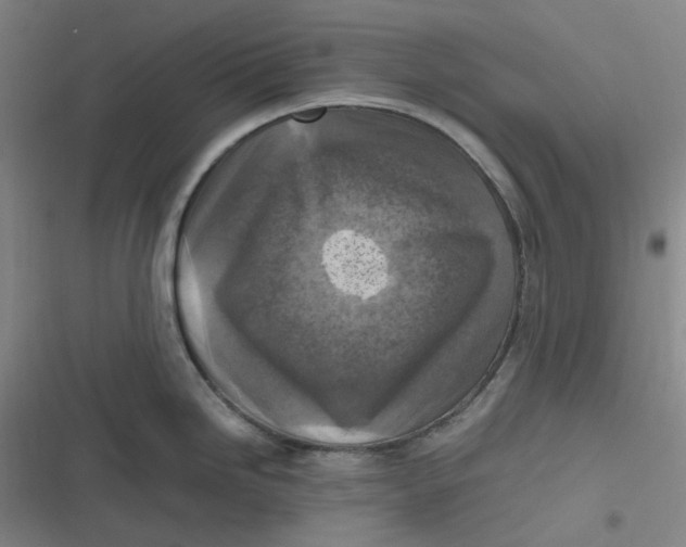 X0000116801246201001081328