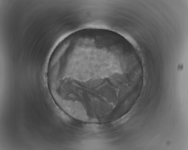 X0000116801248201001081328