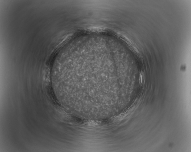 X0000116801251201001081327