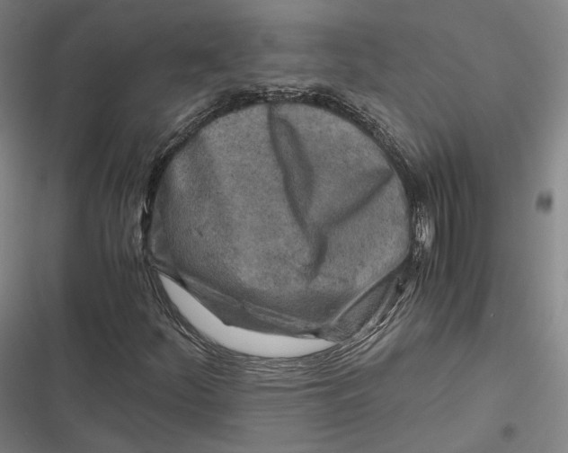 X0000116801252201001081327