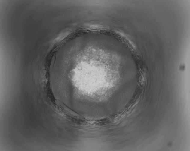 X0000116801253201001081327