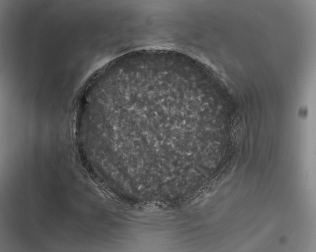 X0000116801255201001081327