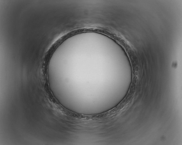 X0000116801256201001081327