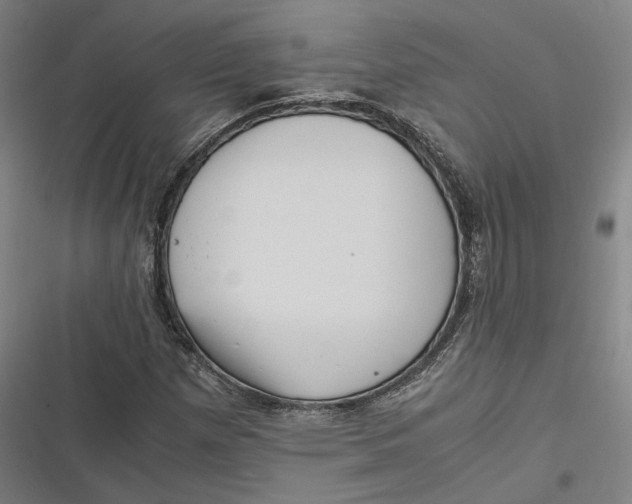 X0000116801257201001081327