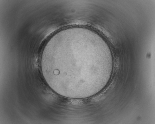 X0000116801258201001081327