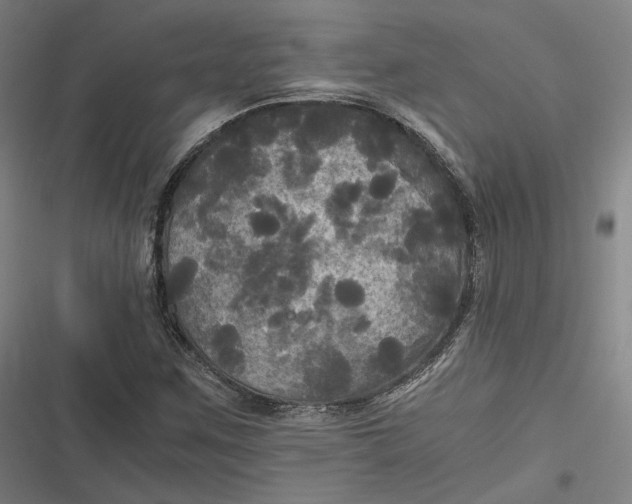 X0000116801259201001081327