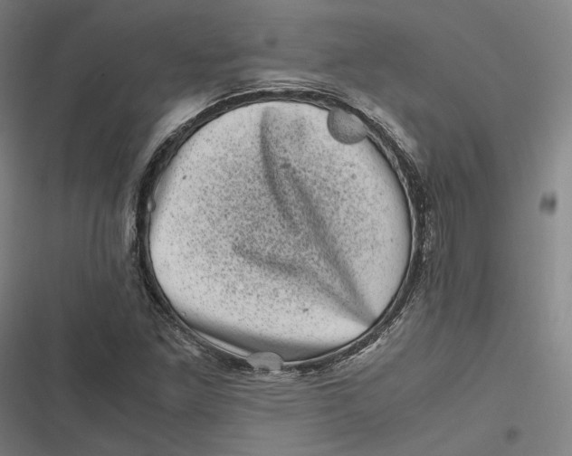 X0000116801261201001081327