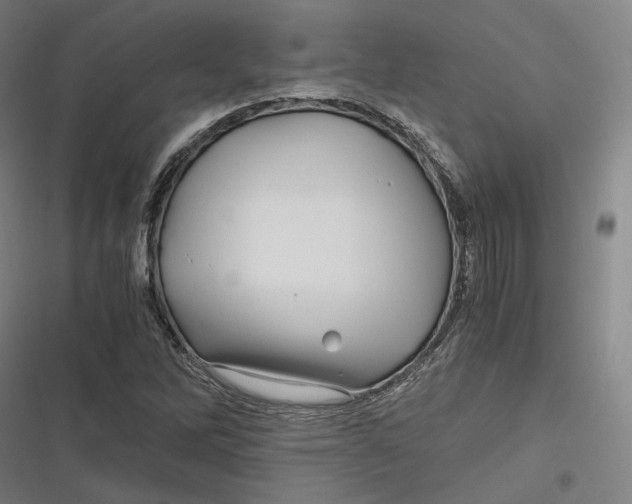 X0000116801262201001081327