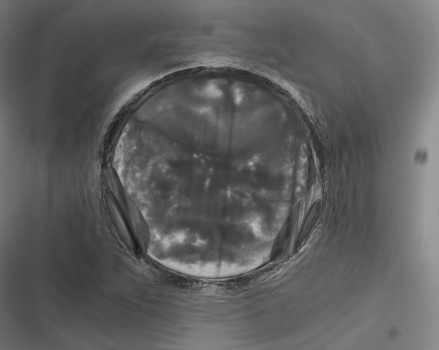 X0000116801263201001081327