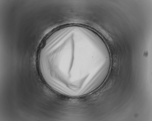 X0000116801264201001081327