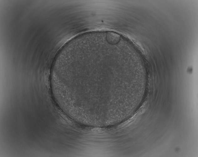 X0000116801265201001081327