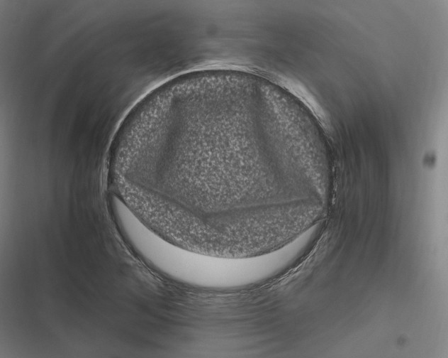 X0000116801268201001081327