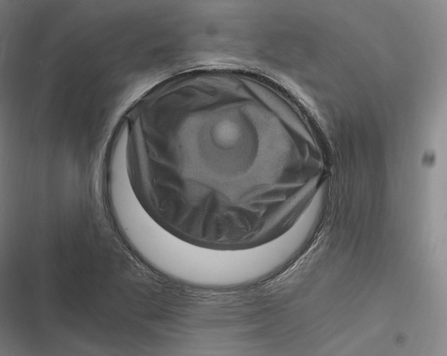 X0000116801269201001081327