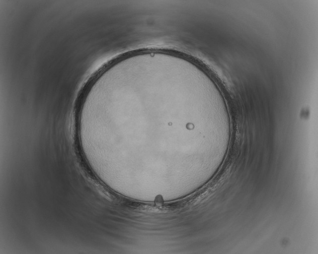 X0000116801270201001081327