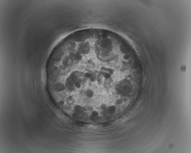 X0000116801271201001081327