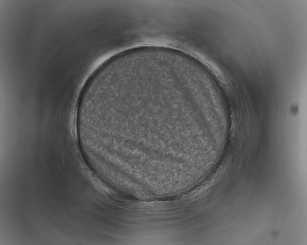 X0000116801272201001081327