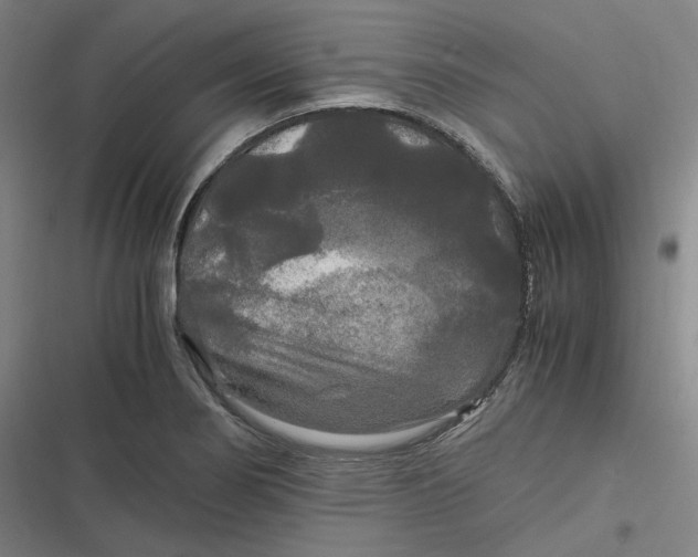 X0000116801274201001081327