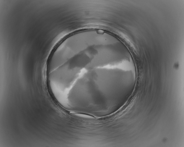 X0000116801275201001081327