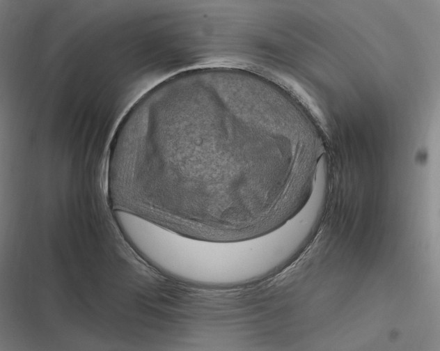 X0000116801276201001081327