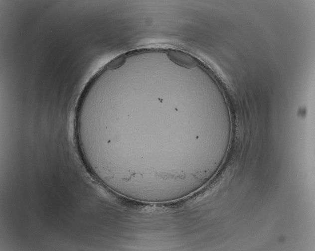 X0000116801277201001081327